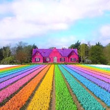 Схема вышивки «№2119124»