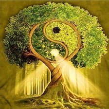 Дерево удачи