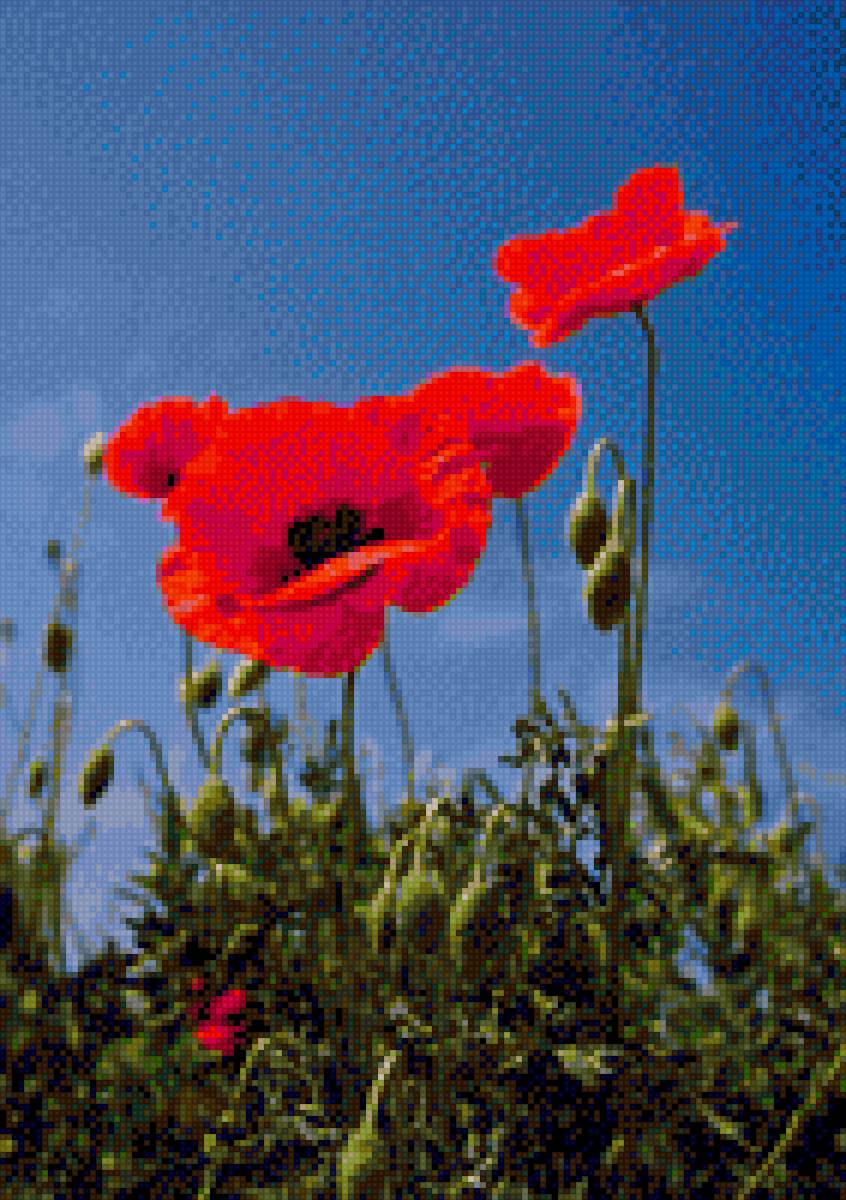 №2119394 - предпросмотр