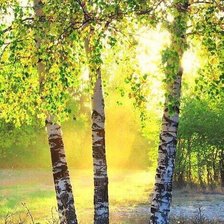 Схема вышивки «№2119405»