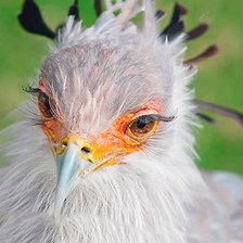 Схема вышивки «№2119428»