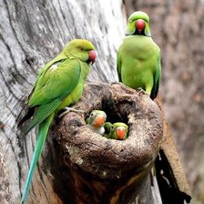 Схема вышивки «№2119725»