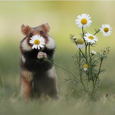 Схема вышивки «№2119742»