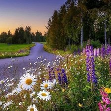 Схема вышивки «№2119771»