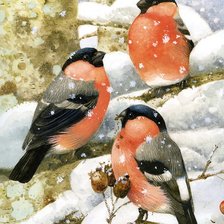 Схема вышивки «птицы»