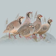 Схема вышивки «№2119966»