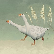 Схема вышивки «№2119974»