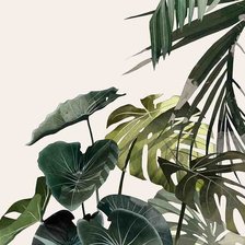 Схема вышивки «листья»