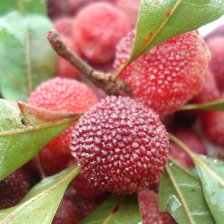 Схема вышивки «Фрукты»