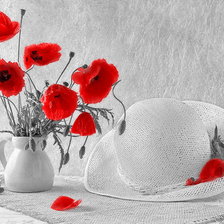 Маковый натюрморт