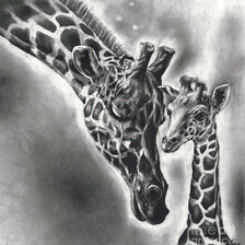 Схема вышивки «№2121550»