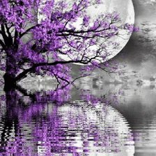 Схема вышивки «Лунная серенада»