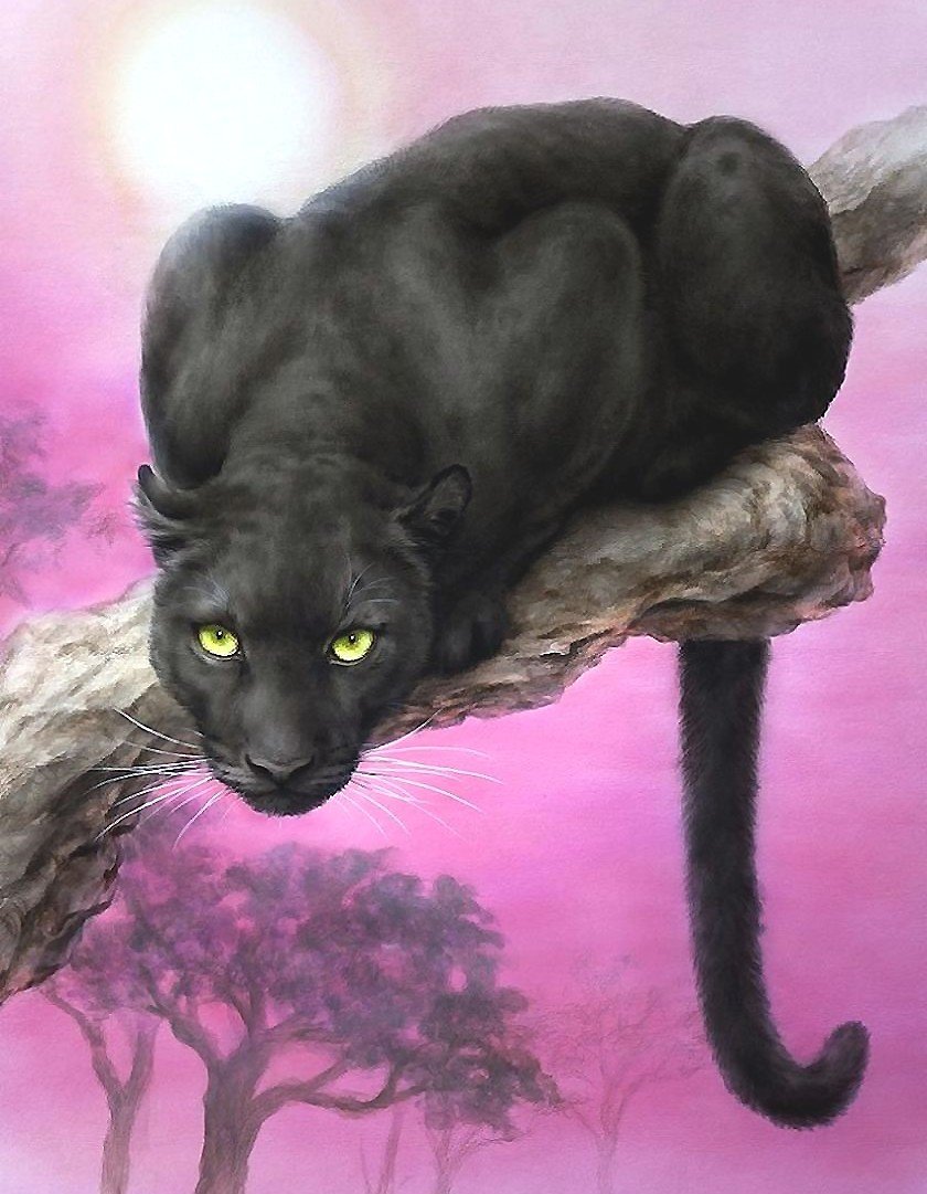 мир животных - мир животных - оригинал