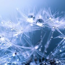 Схема вышивки «Gotas1»