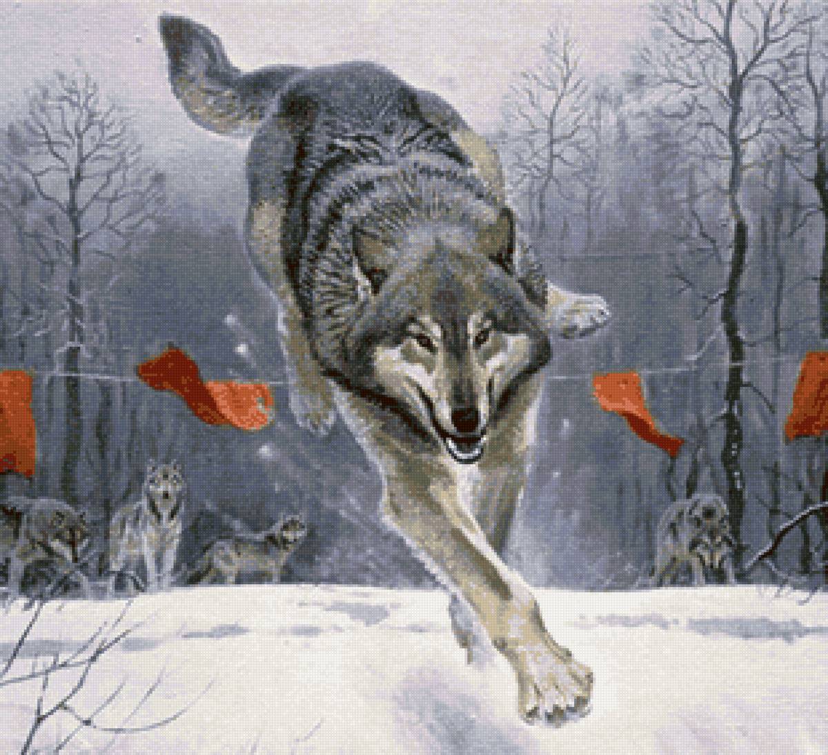 №2122260 - лес, волки, охота, зима - предпросмотр