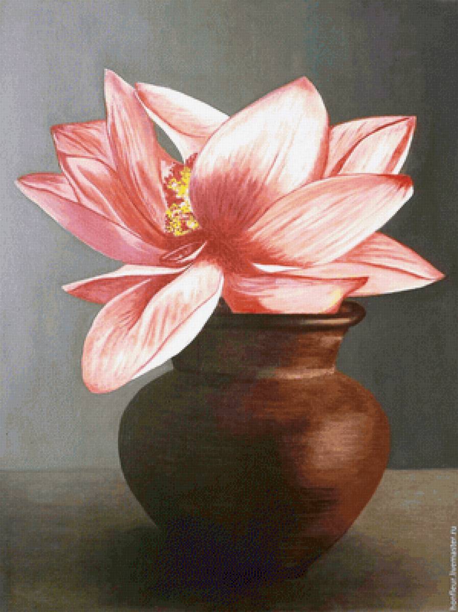 Лотос - природа, цветы - предпросмотр