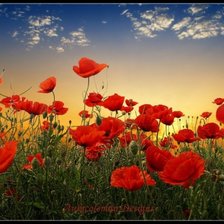 Схема вышивки «№2122783»