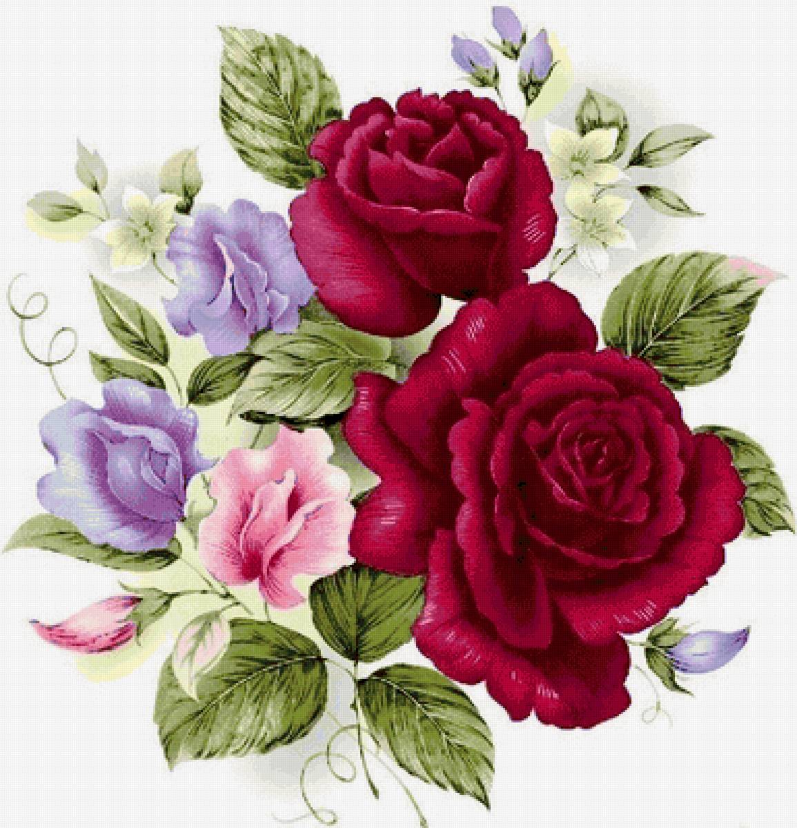 ruze - предпросмотр