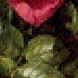Предпросмотр схемы вышивки «розы» (№2123452)