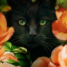 Схема вышивки «Кот в цветах»