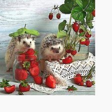 Схема вышивки «№2123520»