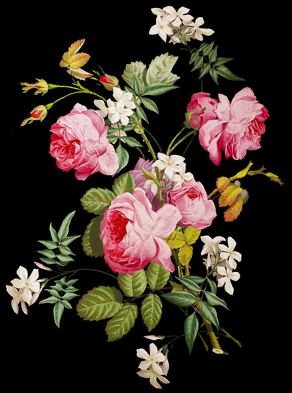 Серия "Букет". - розы, флора, цветы, букет - оригинал