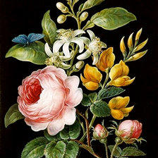 Схема вышивки «Серия "Букет".»