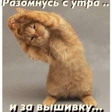 Схема вышивки «рукоделие»