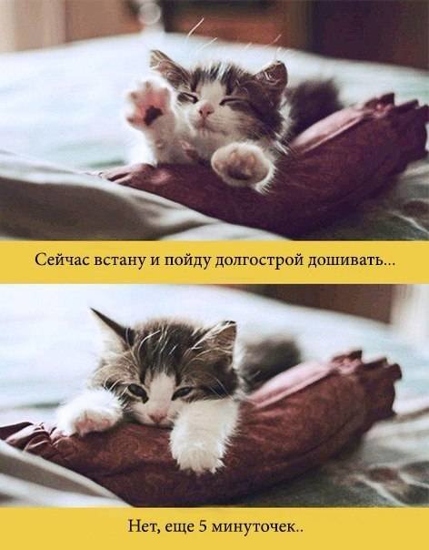 рукоделие - вышивка - оригинал