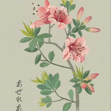 Схема вышивки «№2124136»