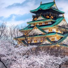 Схема вышивки «Сакура»