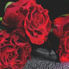 Схема вышивки «№2124528»