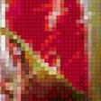 Предпросмотр схемы вышивки «Розы во время дождя» (№2124544)