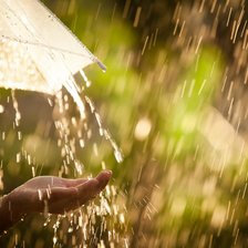 Схема вышивки «Летний дождь»