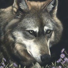 Схема вышивки «волк»