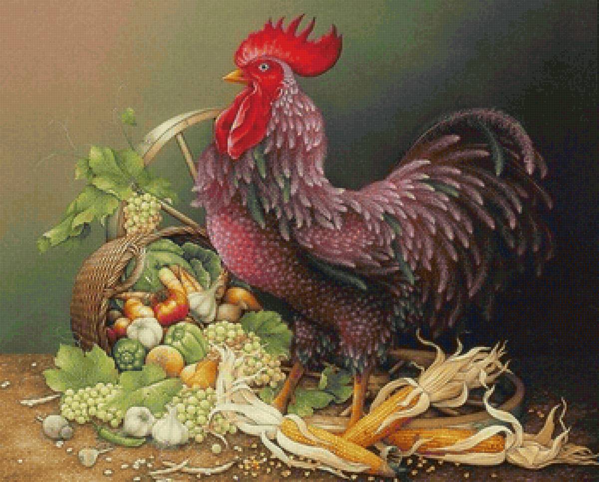 птицы - предпросмотр