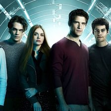 Схема вышивки «волчонок»