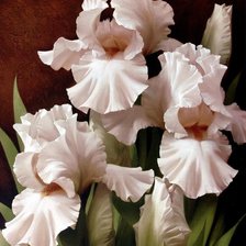 Схема вышивки «цветы»