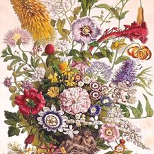 Схема вышивки «№2125532»