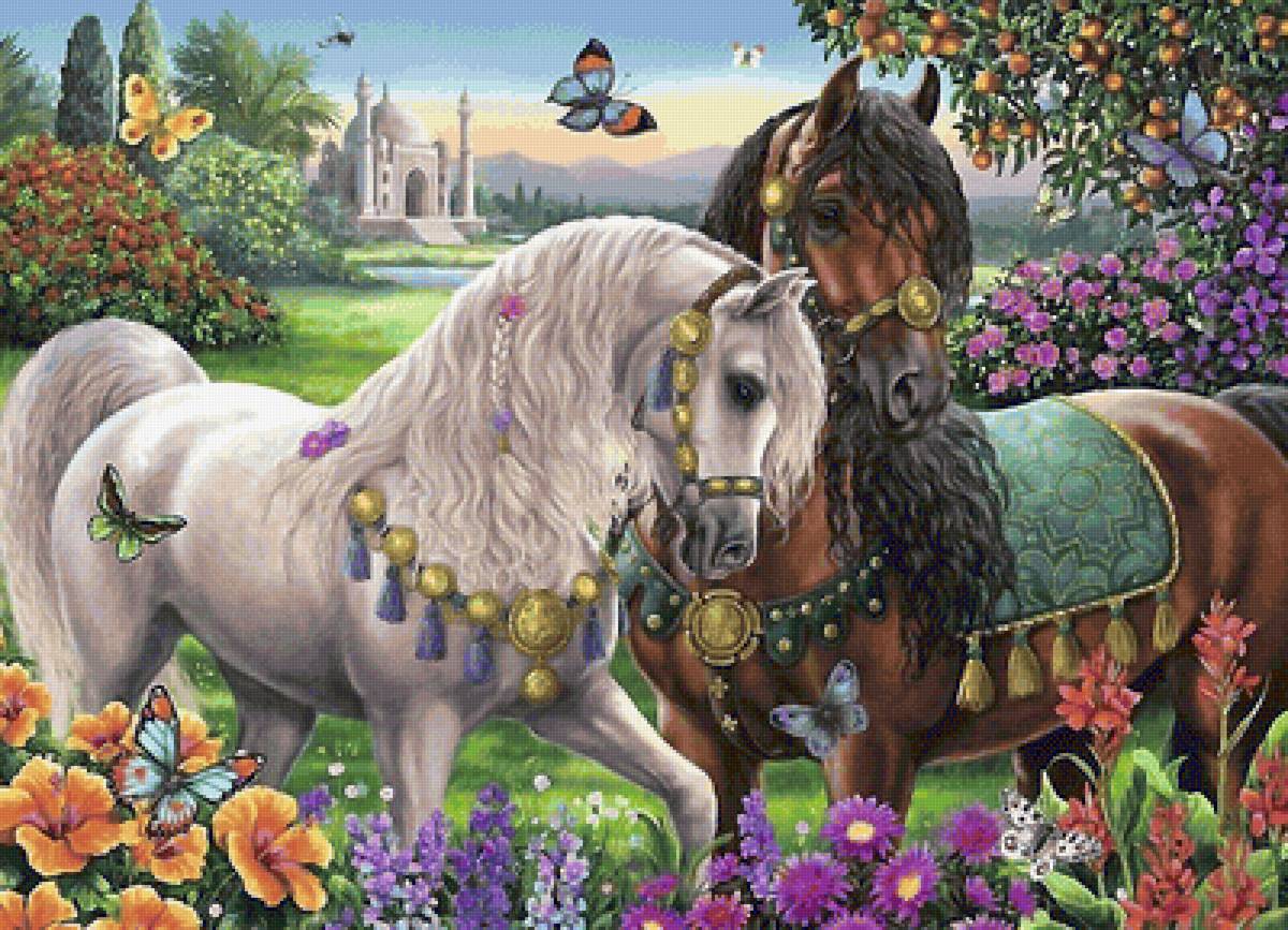 красивая пара - предпросмотр