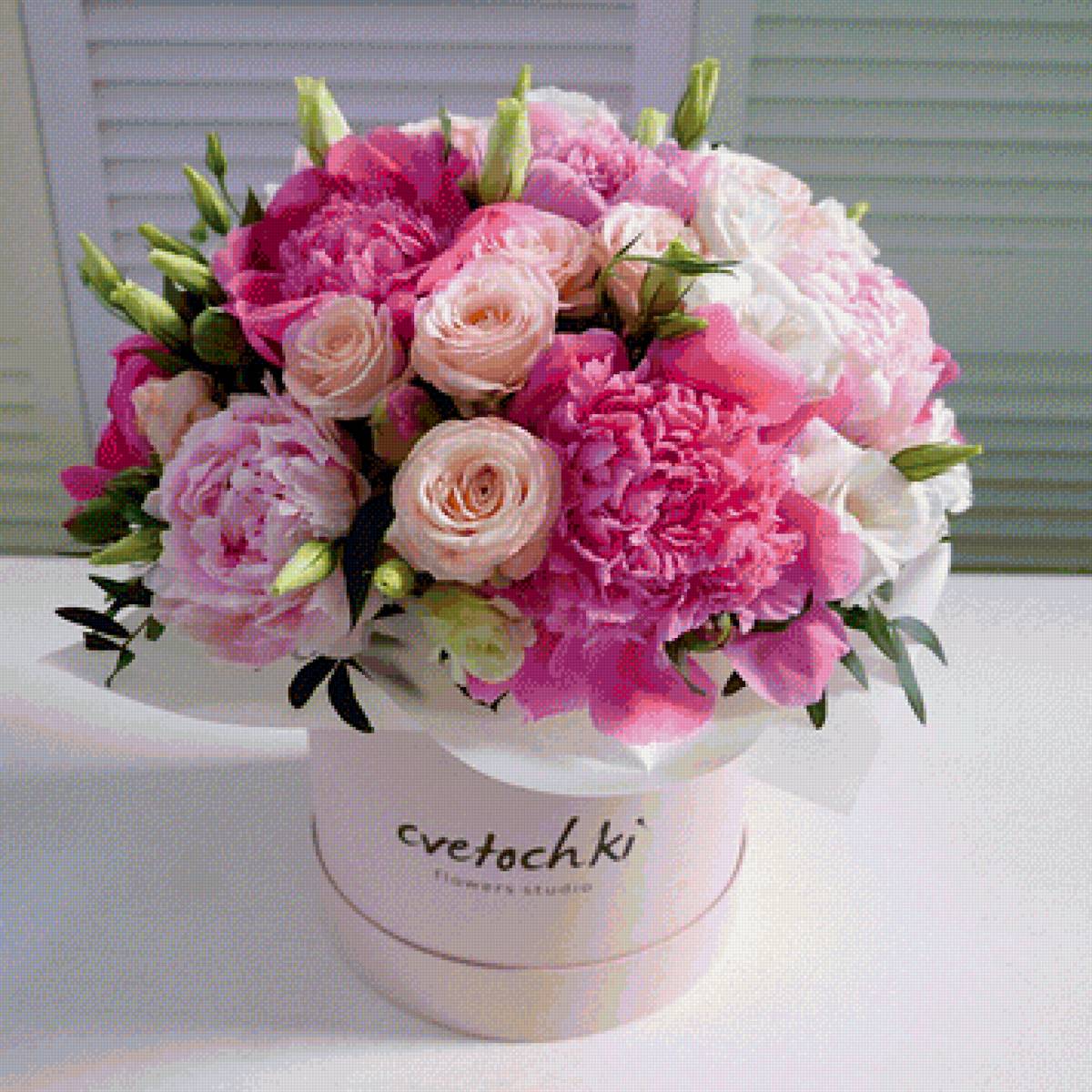 Пионы - предпросмотр