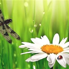 Схема вышивки «№2125812»