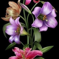 Схема вышивки «№2125881»