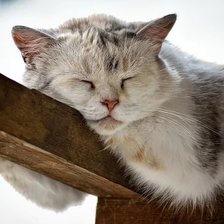 Схема вышивки «Сладкий сон»