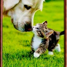 Схема вышивки «Ты кто?»