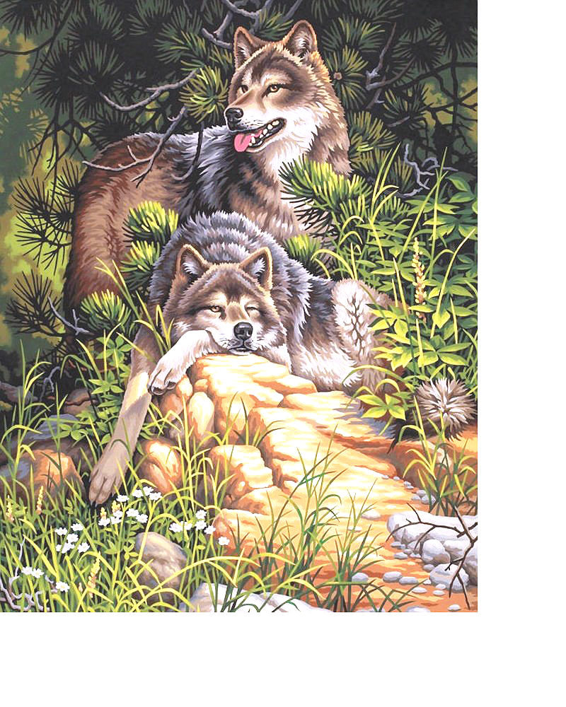 Волки - пара волков, животные, звери - оригинал