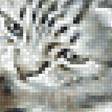 Предпросмотр схемы вышивки «котята» (№2126624)