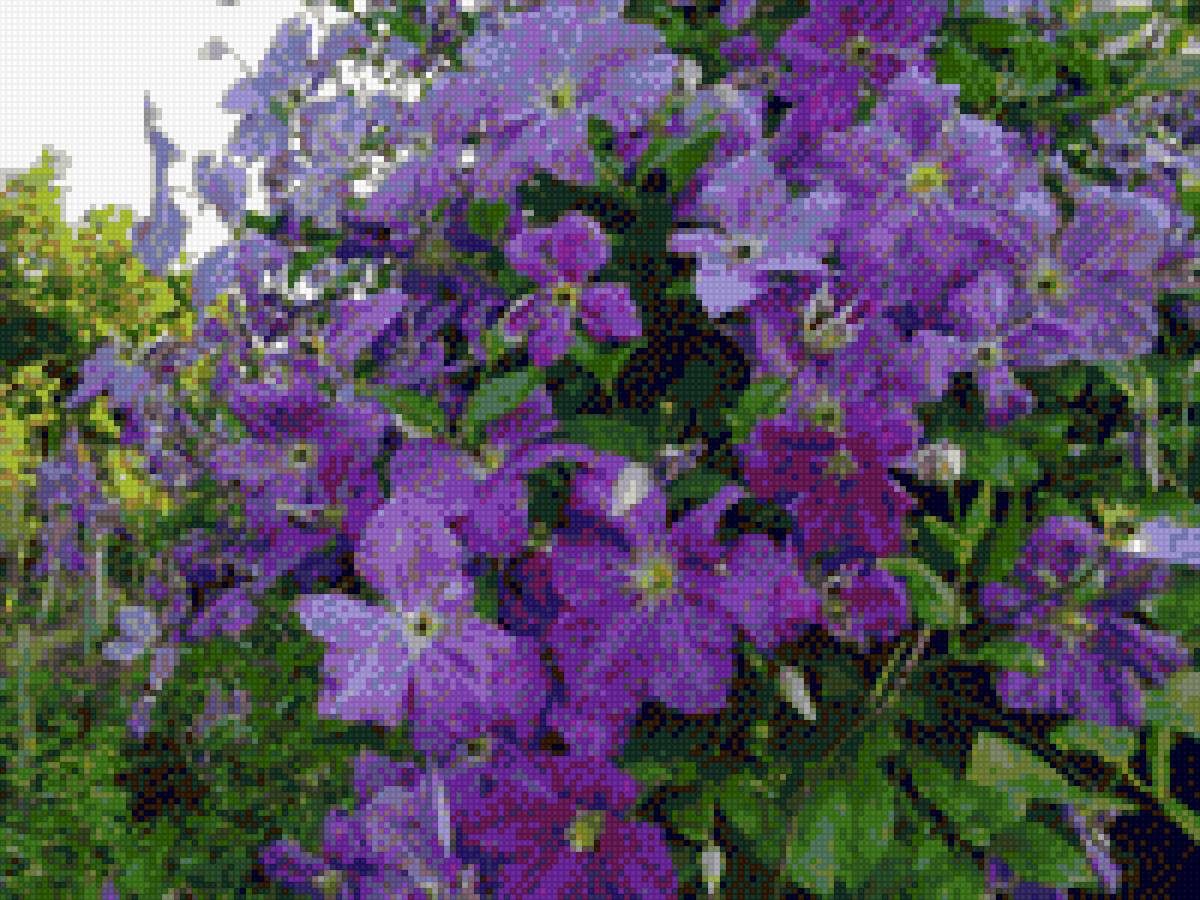 №2126651 - предпросмотр