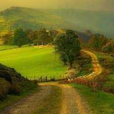 Схема вышивки «№2126655»