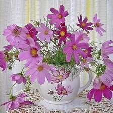 Схема вышивки «№2126668»